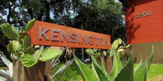 Kensington Terrace Gallery 6