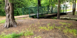 Pinnacle Woods Apartment Homes Gallery 10