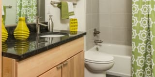 Plant 1 Plant 1 Gallery 3