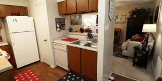 Alexis Park Gallery 4