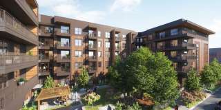 The Waylon Gallery 11