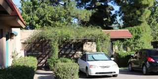 Palm Garden Gallery 25
