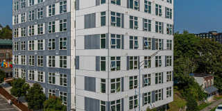 Koz on Market Gallery 17