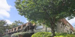 Element 26 Gallery 2