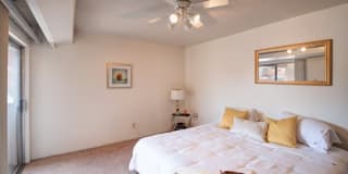 Desert Creek Gallery 20