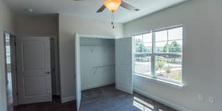 Davis Gardens Gallery 12