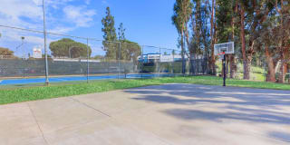 Saddleback Ranch Gallery 12
