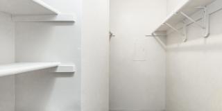 Wood Trail Gallery 21