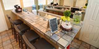 Alexis Park Gallery 29