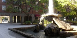 Hampton Court Gallery 2