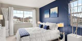 Baseline Woods Gallery 12