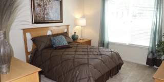 One Central Apartment Homes Gallery 13