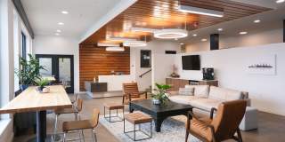 Axis at Ansel Axis at Ansel Gallery 6