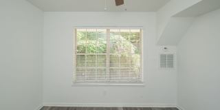Cliff Terrace Gallery 12