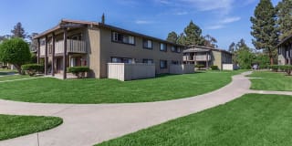 Saddleback Ranch Gallery 28