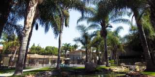 Monterra Springs Monterra Springs Gallery 28