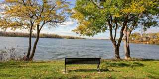 The Lake Shore Apartments Gallery 35