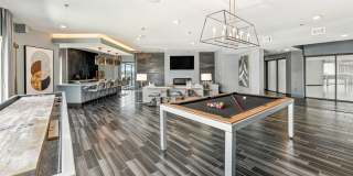 Terra at University North Park Gallery 1