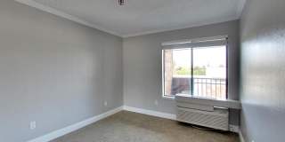 Coral Court Gallery 8