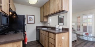 Olive Tree Gallery 4