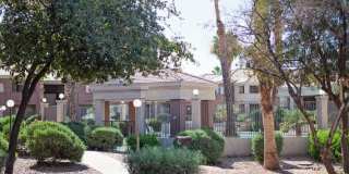 Palm Terrace Gallery 2