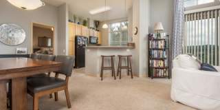 Parmenter Circle I Apartments Gallery 4