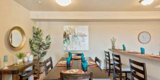 Central Park Gallery 16