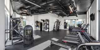 Laguna Gardens Gallery 14