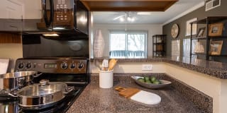 Village Meadow Gallery 1