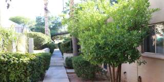 Palm Garden Gallery 17