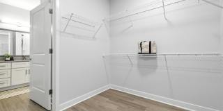 The Stella Gallery 12