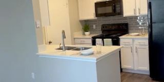 Newport Apartments Gallery 2