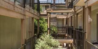 Oak Park Gallery 20