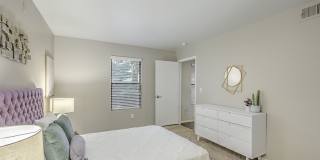 Desert Sage Gallery 11