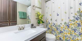 Nova Park Apartment Homes Gallery 18
