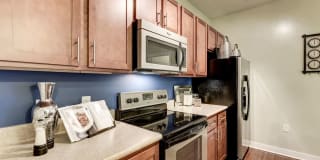 River Oaks Gallery 6