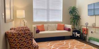 Oak Forest Gallery 4