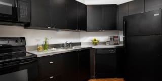 1111 North Dearborn Gallery 3