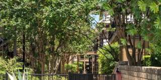 Oak Park Gallery 18