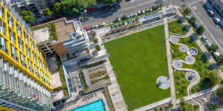 Pinnacle on the Park Gallery 6