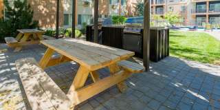 Student Housing - The Social at Stadium Walk Gallery 9