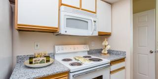 Stone Mist Gallery 2