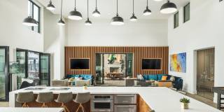 Soltra at SanTan Village Gallery 24