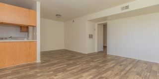 Whispering Willows Gallery 7