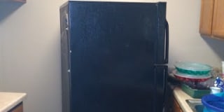 Wellington Apartments Gallery 7