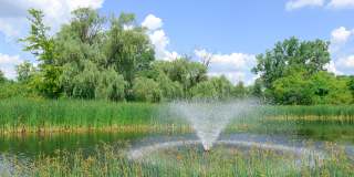 Pine Lake Apartments Gallery 20