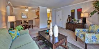 Preston Pointe Gallery 3