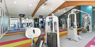 Camden Village Gallery 14