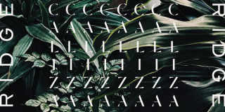 Caliza Ridge Gallery 9