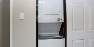 The Harrison Gallery 19